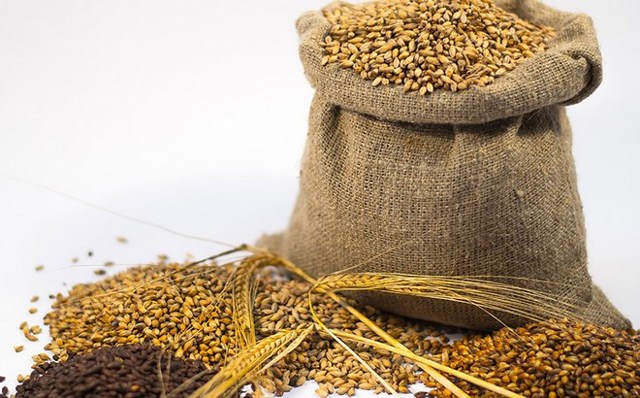 Самогон из солода (обычного и зеленого) - рецепт браги