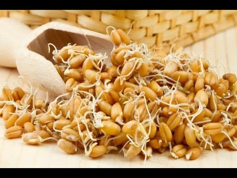 Старинный рецепт браги из пшеницы без дрожжей