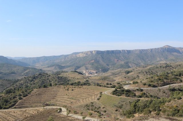 Вина Приората: особенности, история, виды, известные марки