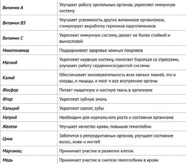 Уксус в вине – причины появления и профилактика