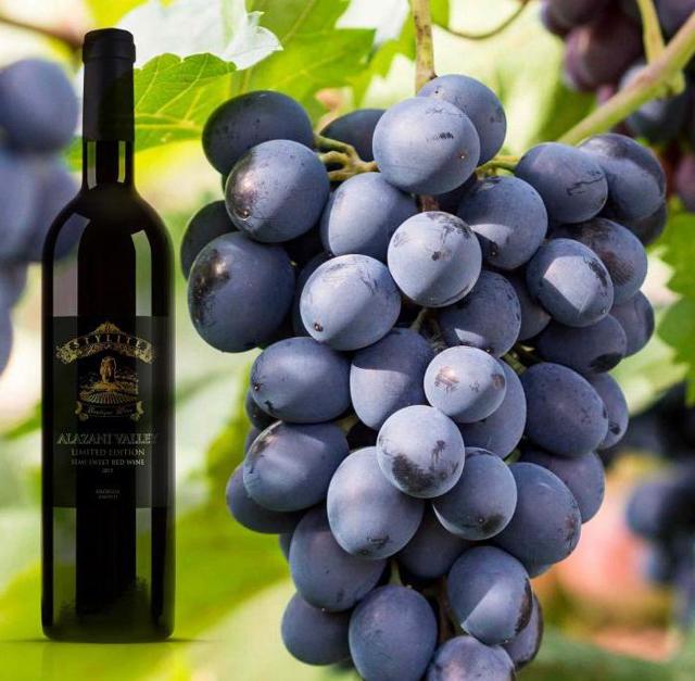 Вино Алазанская долина: понятие, виды, особенности выбора