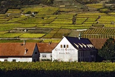 Вино Гевюрцтраминер – особенности и культура употребления