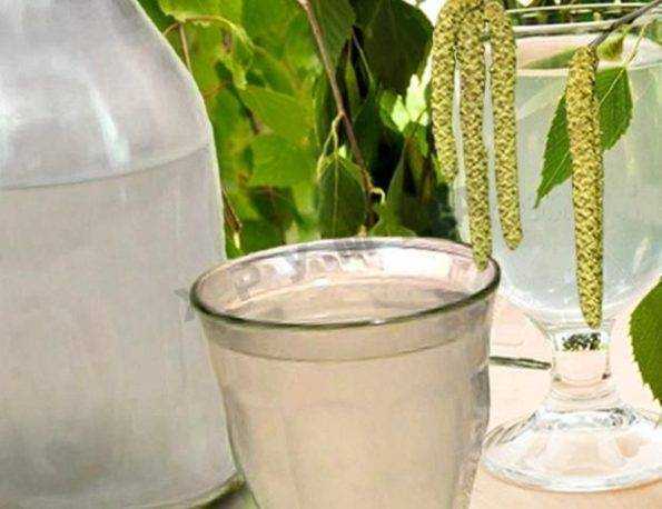 Вино из березового сока в домашних условиях