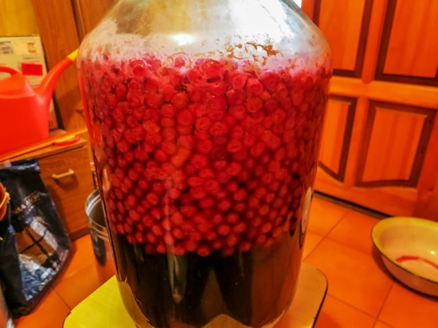 Вино из вишни с косточками в домашних условиях: простой рецепт