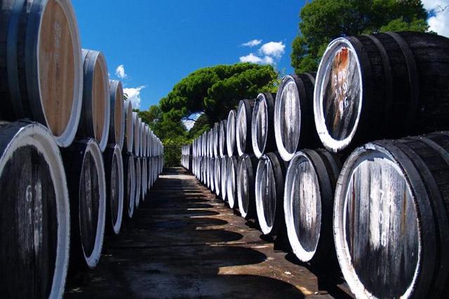 Вино Мадера: понятие, история, виды и культура употребления