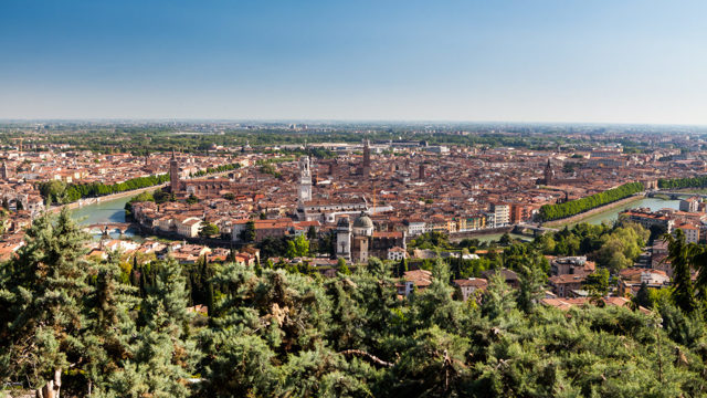 Вино Вальполичелла: особенности, виды и культура пития