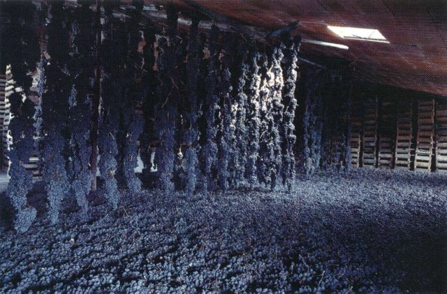 Вино Вальполичелла: особенности, виды и культура пития