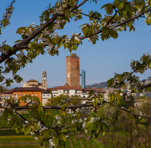 Вино Барбареско: особенности, известные марки, культура пития